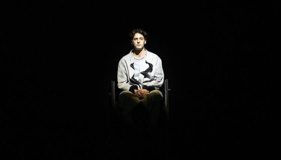 Спектакль «Гранатовый уксус»