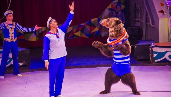 Цирк «Тайна пирата»