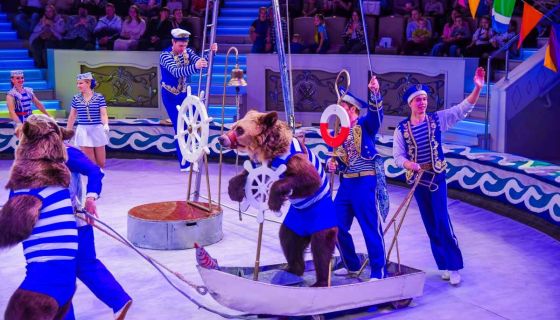 Цирк «Тайна пирата»