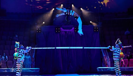 Цирк Филатовых. Нашествие медведей