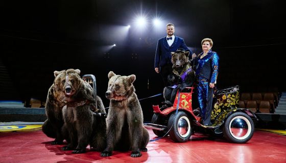 Цирк Филатовых. Нашествие медведей
