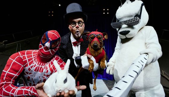 Цирк Филатовых. Нашествие медведей