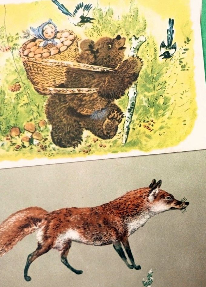 Очарование Чарушиных. Выставка